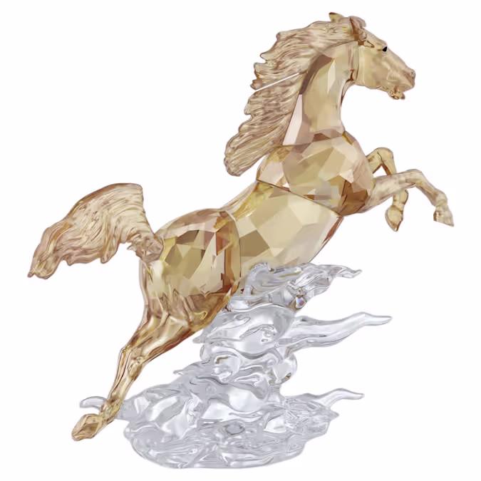 Asian Symbols Leaping Horse